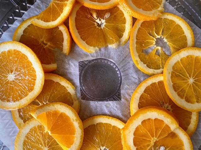 オレンジの果実酒の仕込み